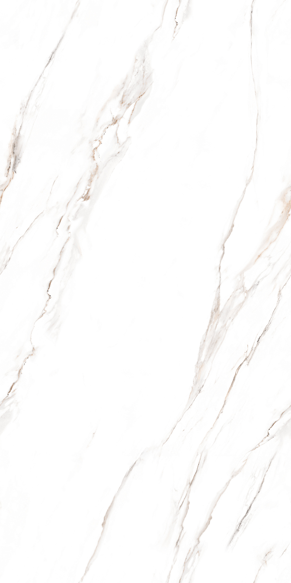 ENDLESS CLASSIC STATURIO