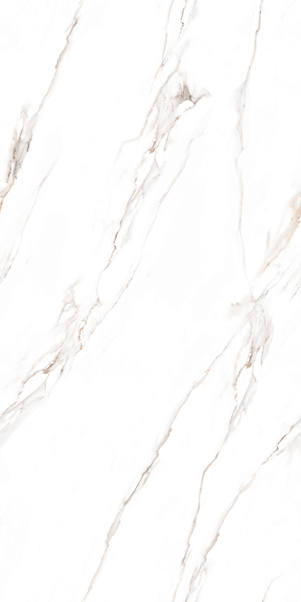 ENDLESS CLASSIC STATURIO