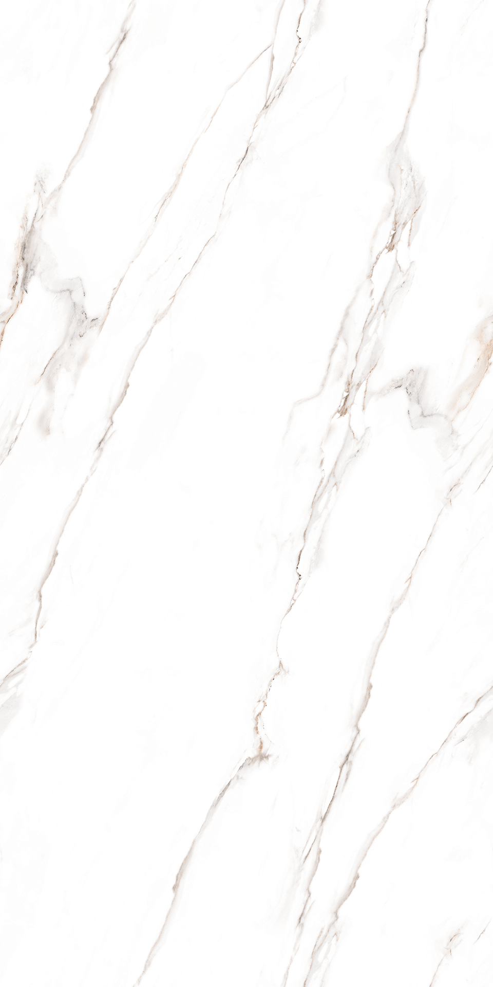 ENDLESS CLASSIC STATURIO