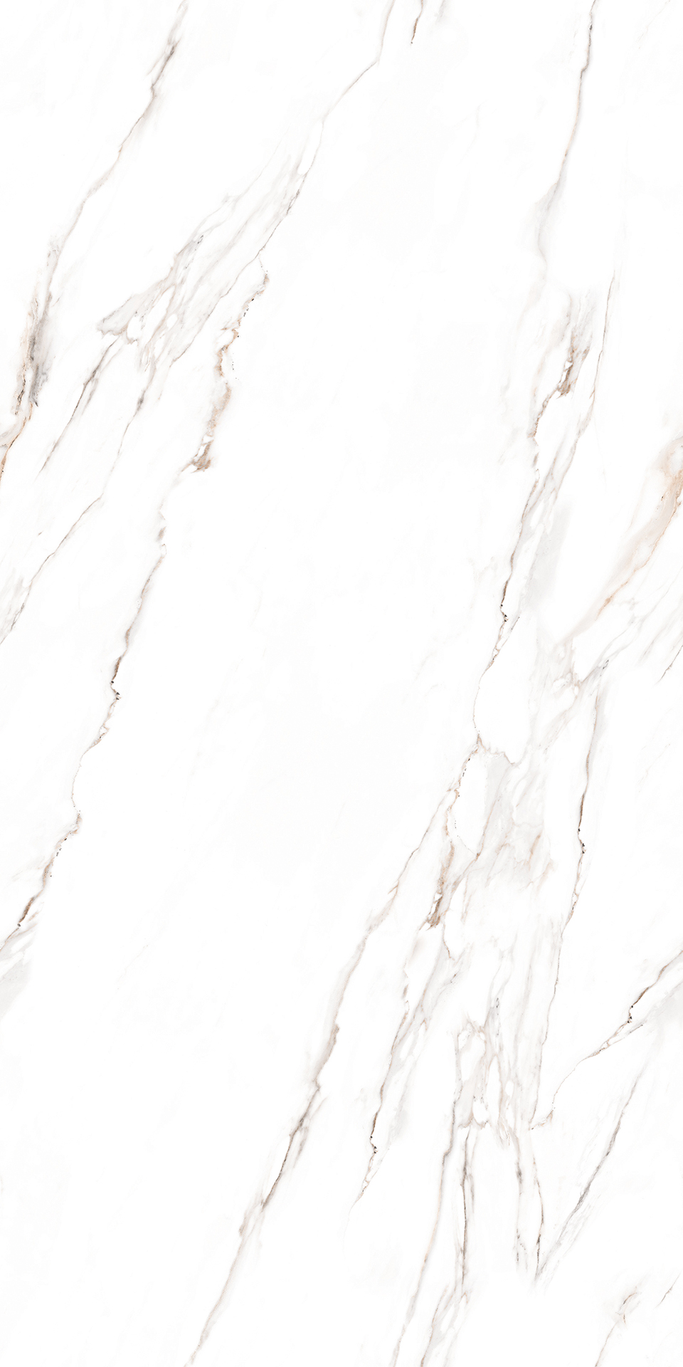 ENDLESS CLASSIC STATURIO