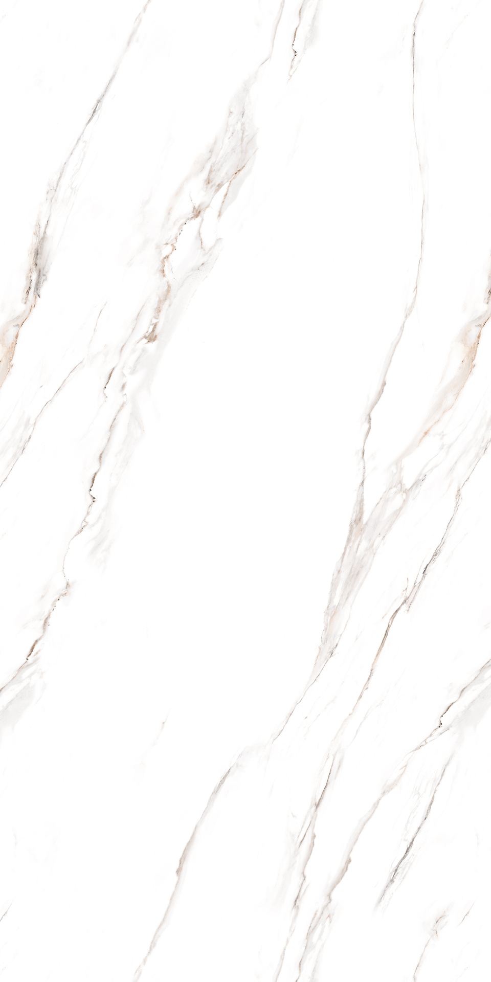 ENDLESS CLASSIC STATURIO