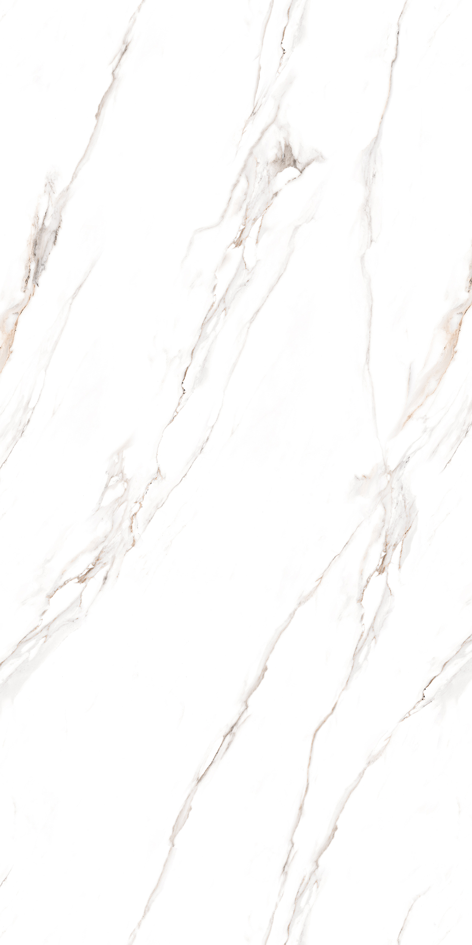 ENDLESS CLASSIC STATURIO