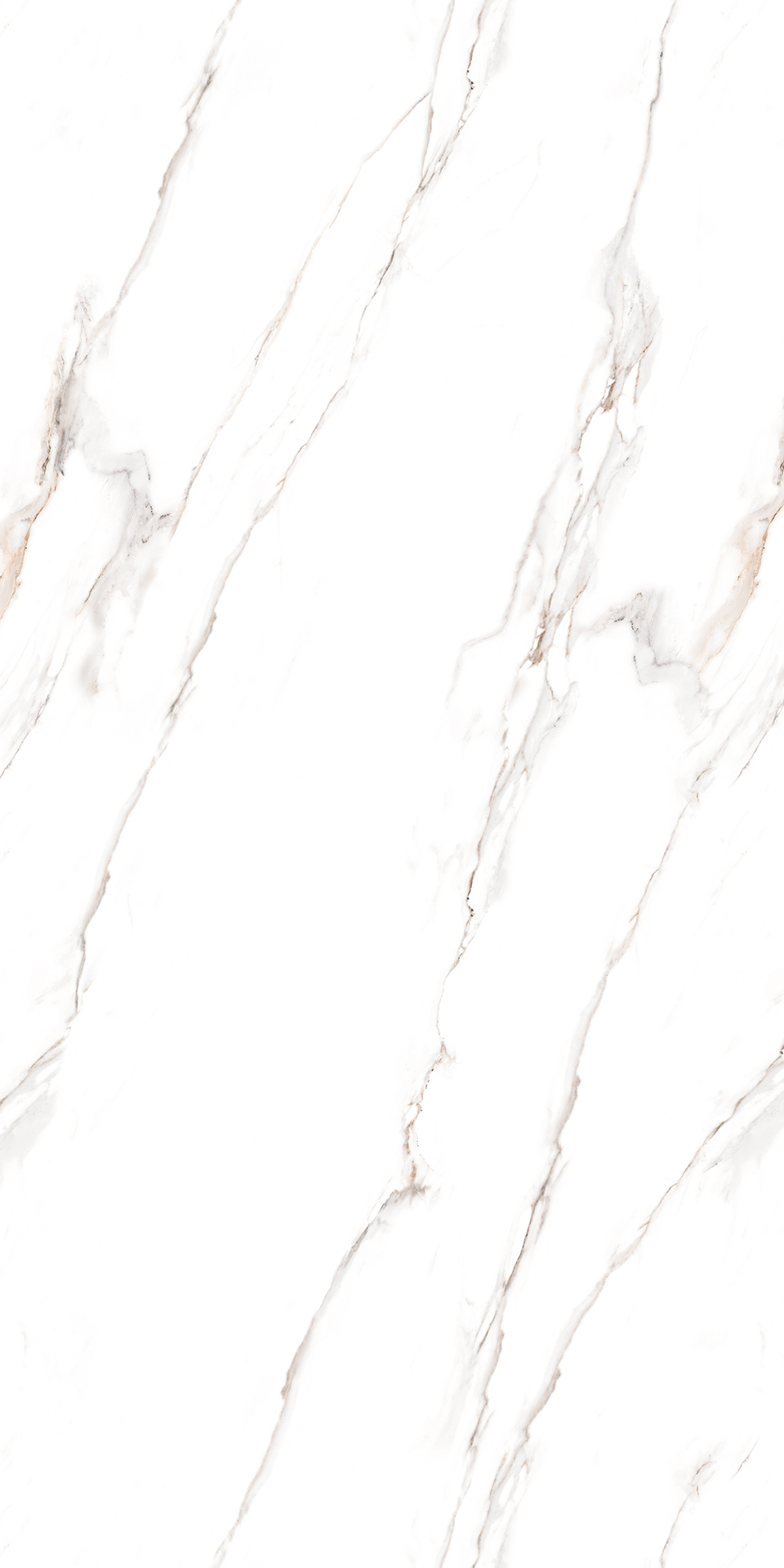 ENDLESS CLASSIC STATURIO