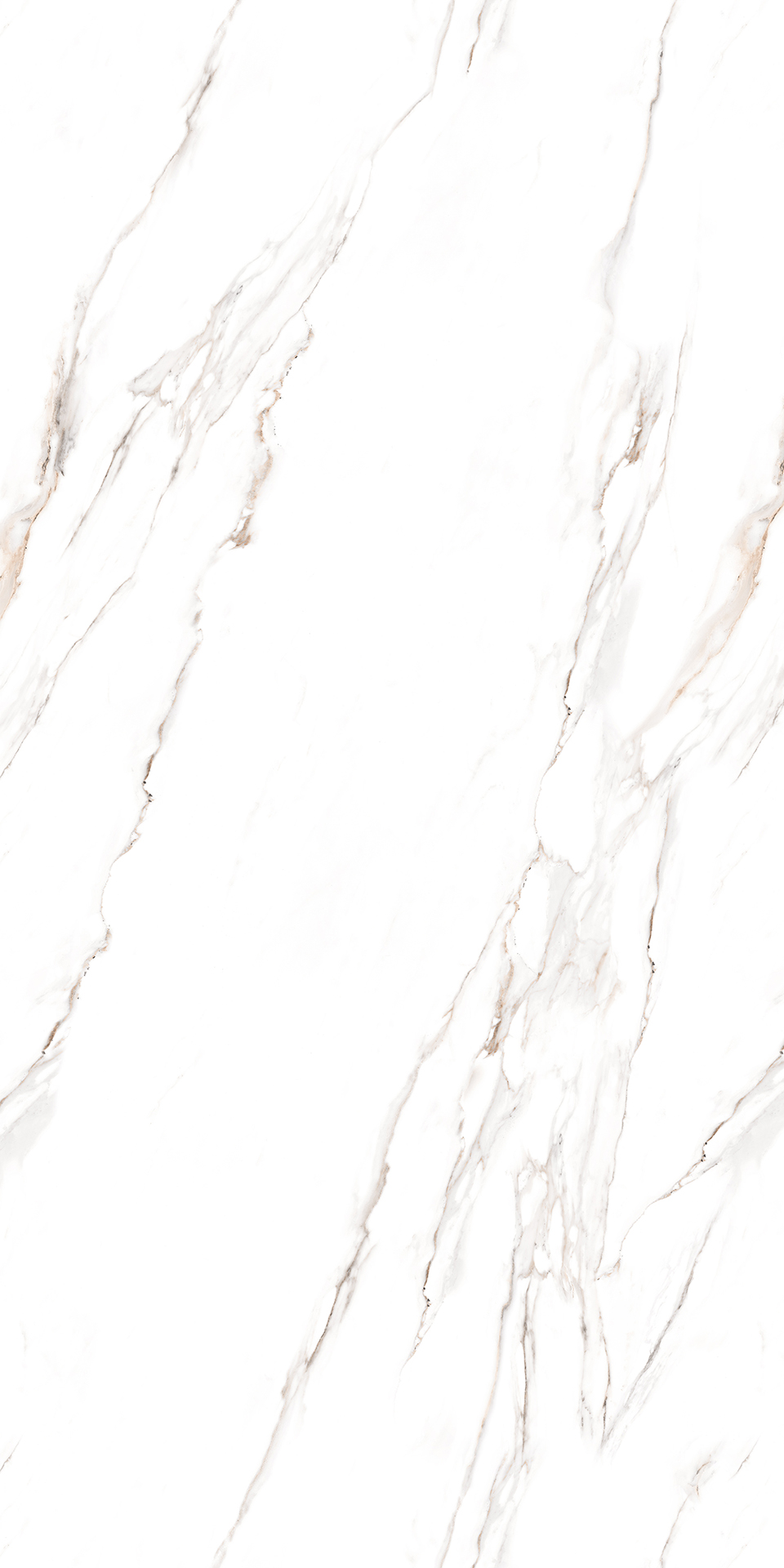 ENDLESS CLASSIC STATURIO